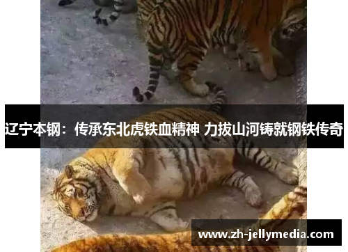 辽宁本钢：传承东北虎铁血精神 力拔山河铸就钢铁传奇